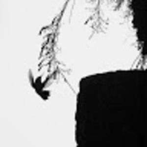 Meet your Posher, Benjamin